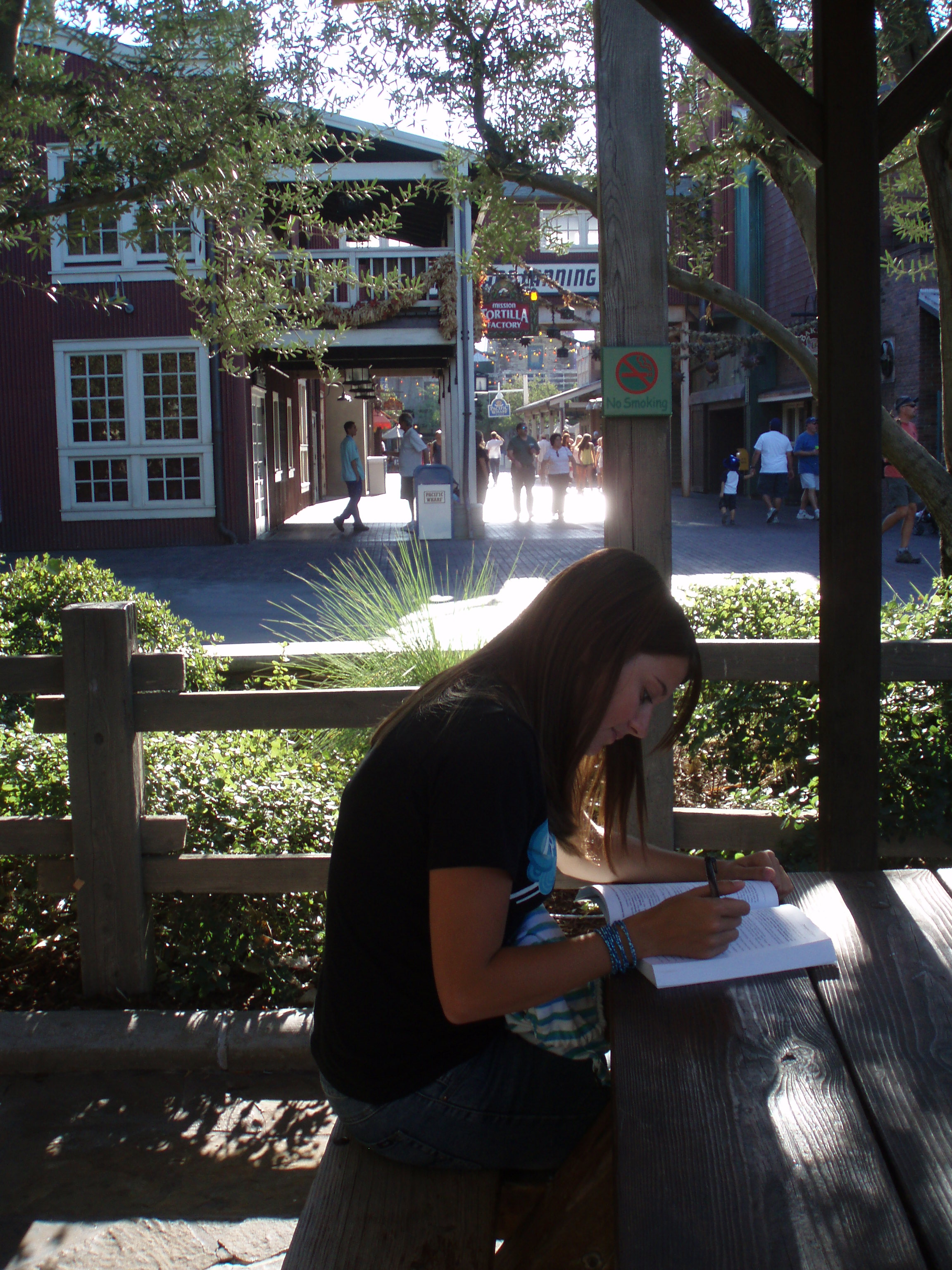 A picnic area in Disney's California Adventure theme park serves as an alternative study spot for Biola students who have Disneyland passes. Photo by Kelli Shiroma