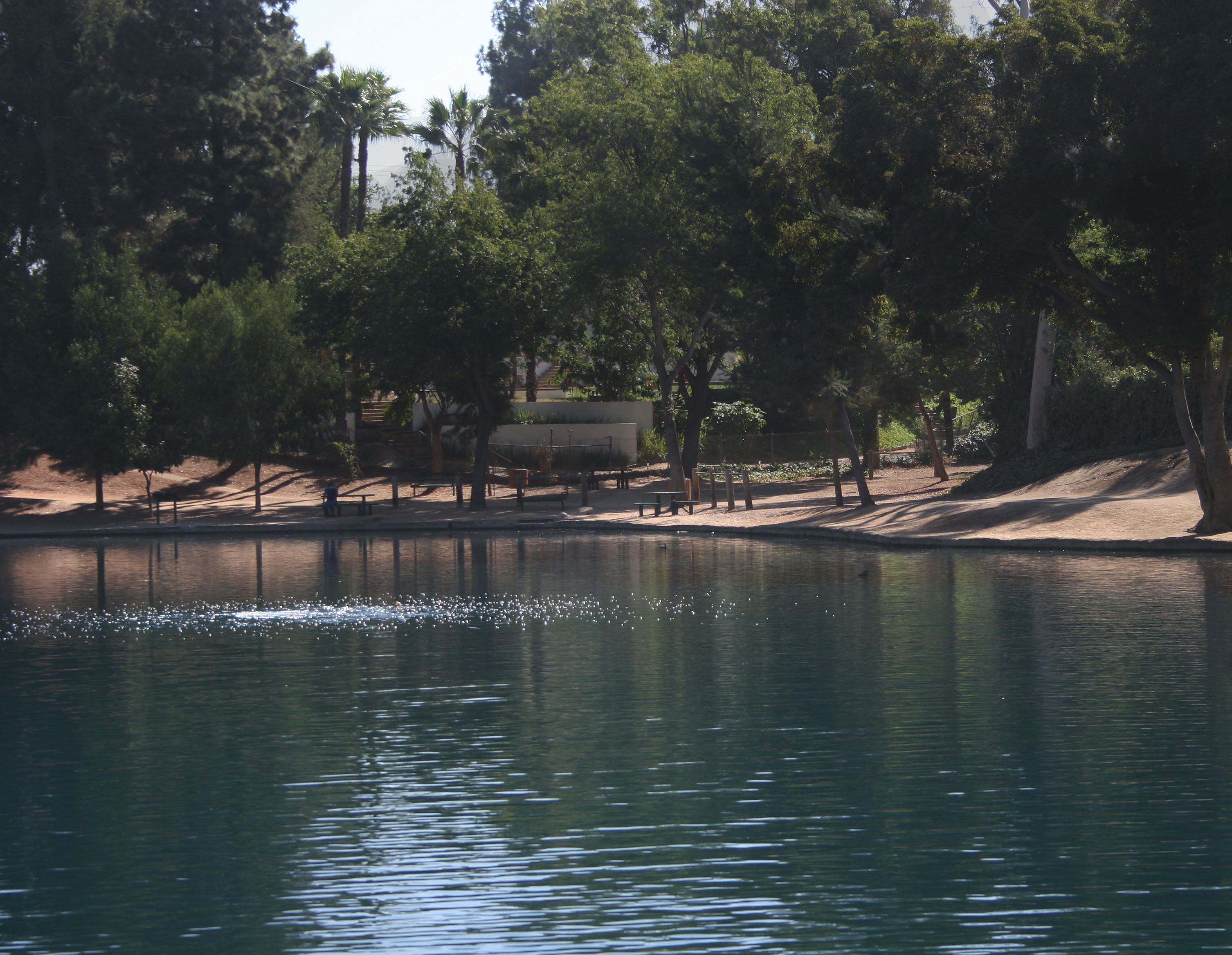 Fullerton is home to an active horse riding community. Photo by Samantha Aviles.