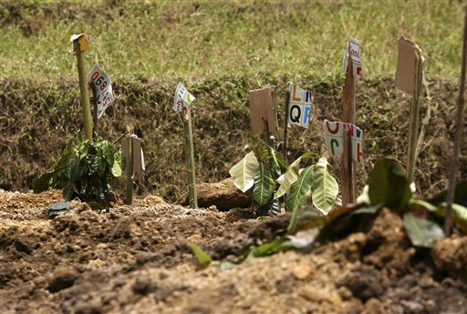 Improvised tombstones stand in front of graves for victims of a massive landslides on Wednesday Oct. 7 in Lubuk Laweh village, northeast of Padang, Indonesia, eights days after a 7.6-magnitude quake that toppled thousands of buildings on Sumatra island.(AP Photo/Binsar Bakkara)