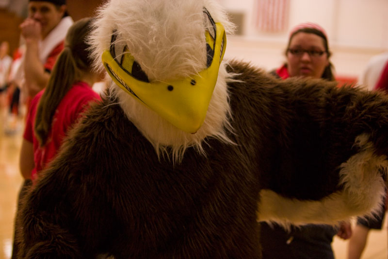 Eagle mascot suit to be replaced - The Chimes