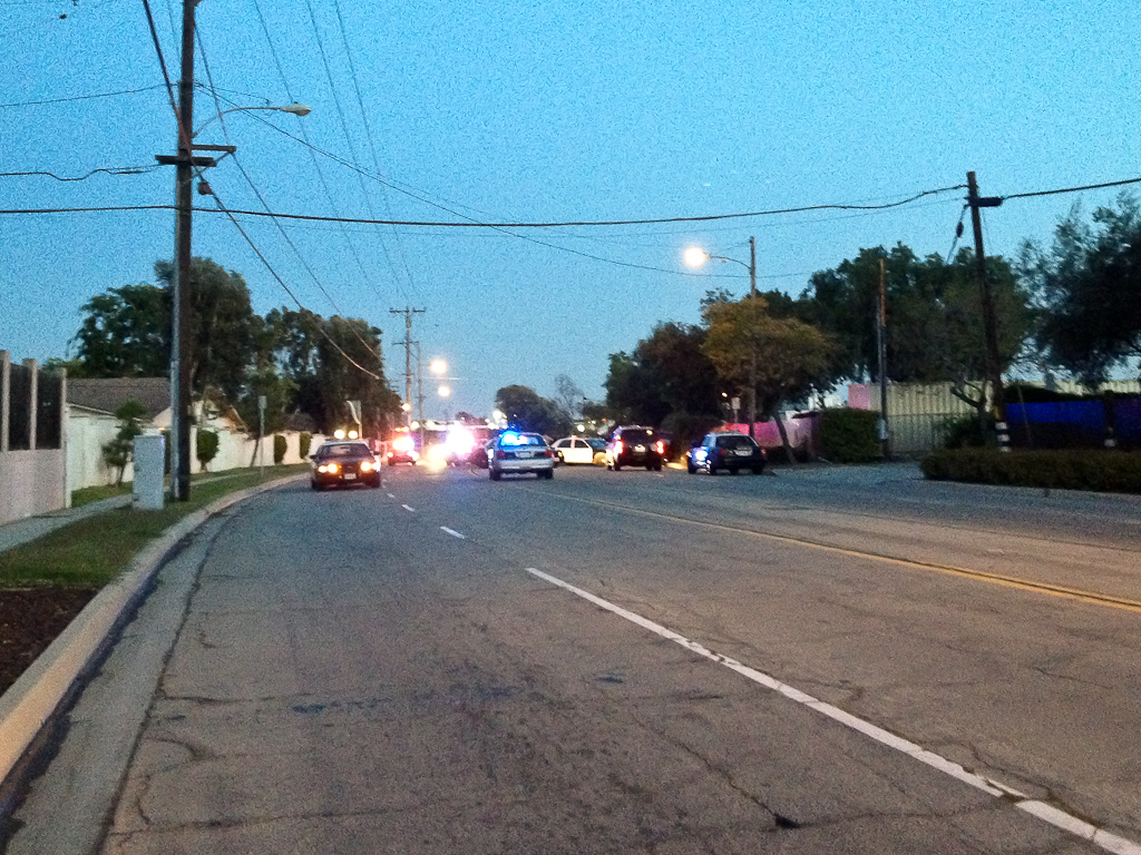 Police cars surround a red-truck after a high speed pursuit in La Mirada on March 13, 2012. It ended here on Stage near Biola Ave when police forced the suspect to crash into the bushes. | Ashley Jones/THE CHIMES