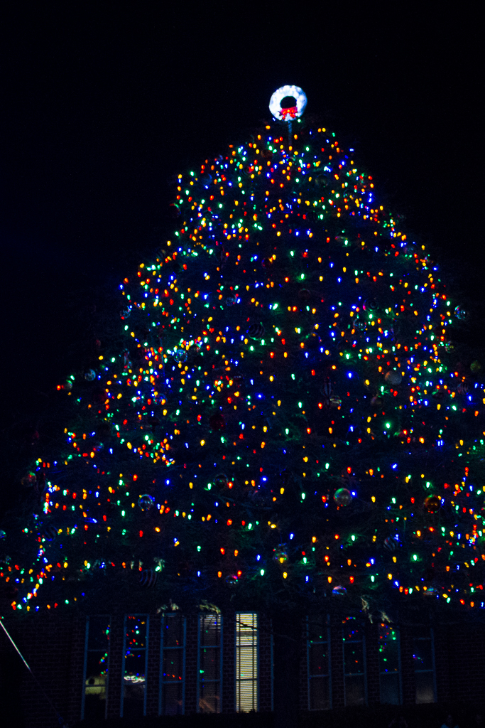 The newly lit Biola Christmas stands tall outside of Crowell Hall. | Rachel Adams/THE CHIMES
