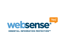 how to get past websense filter