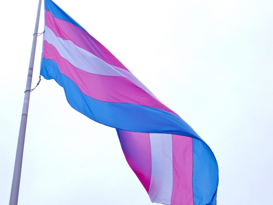 To honor the annual Transgender Day of Remembrance, a transgender flag was raised in Harvey Milk Plaza in November for the first time in its history. | Courtesy of torbakhopper [Creative Commons]

