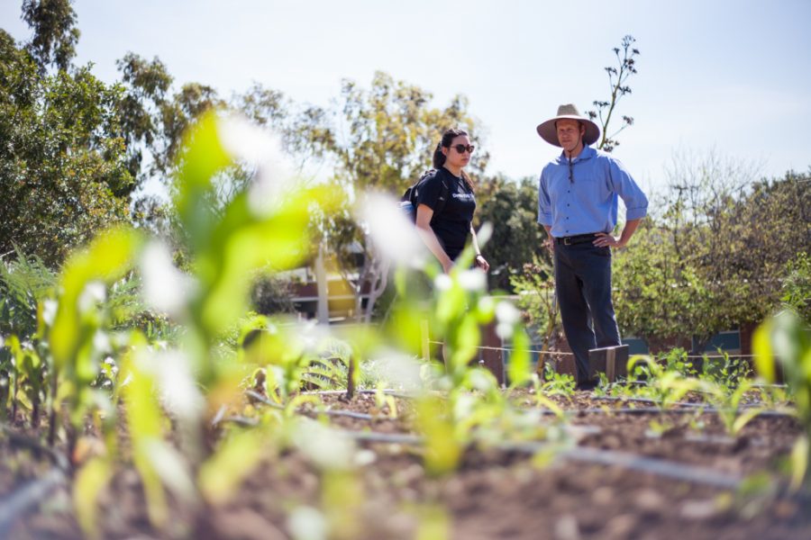 Junior Amy Miller talks with Biola Organic Garden founder and assistant professor of biology Jason Tresser during the tour for Creation Care Week at Biola. Tresser established the Garden in 2009 and it has been producing consumable products for three years. | Melanie Kim/THE CHIMES