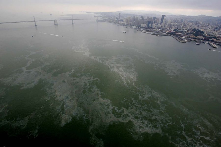 An oil slick is seen from the air with the Bay Bridge and San Francisco skyline in the background in San Francisco, Thursday, Nov. 8, 2007. Some 58,000 gallons of oil were spilled into the bay after a container ship hit a tower of the Bay Bridge in San Francisco Wednesday.