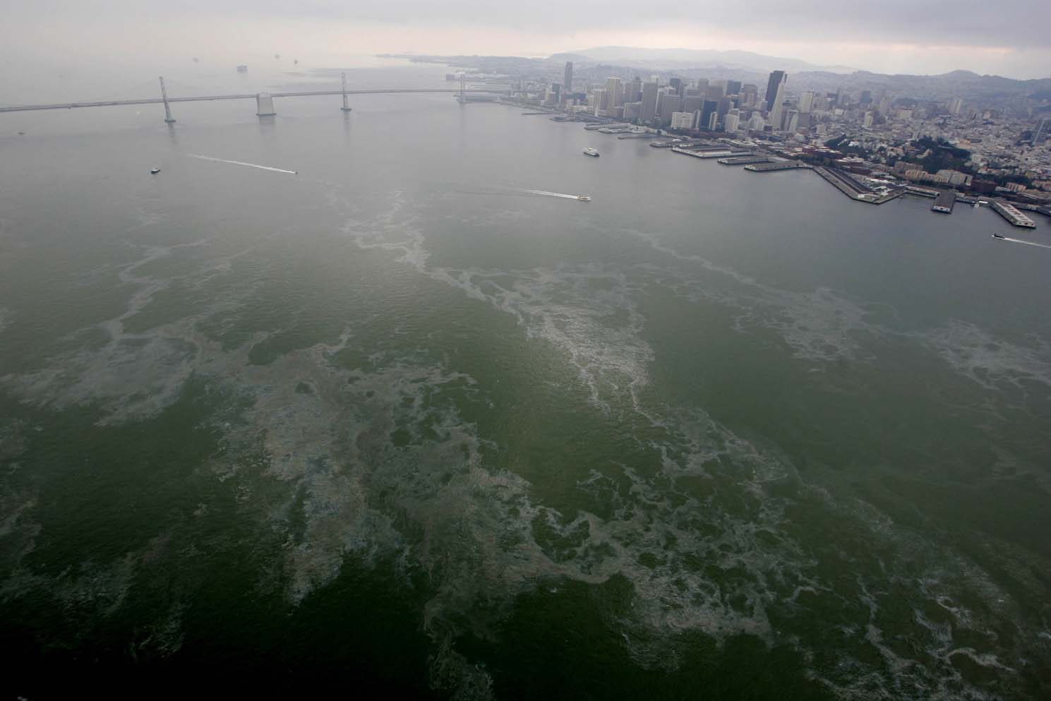 Governor declares emergency over Bay Area oil spill - The Chimes