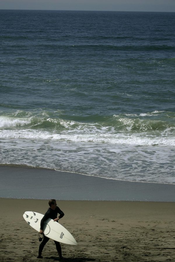 A surfer prepares to enter the water along the coast of San Francisco. Further south in the Pacific coastline, three dead Blue whales have washed ashore in the past month.