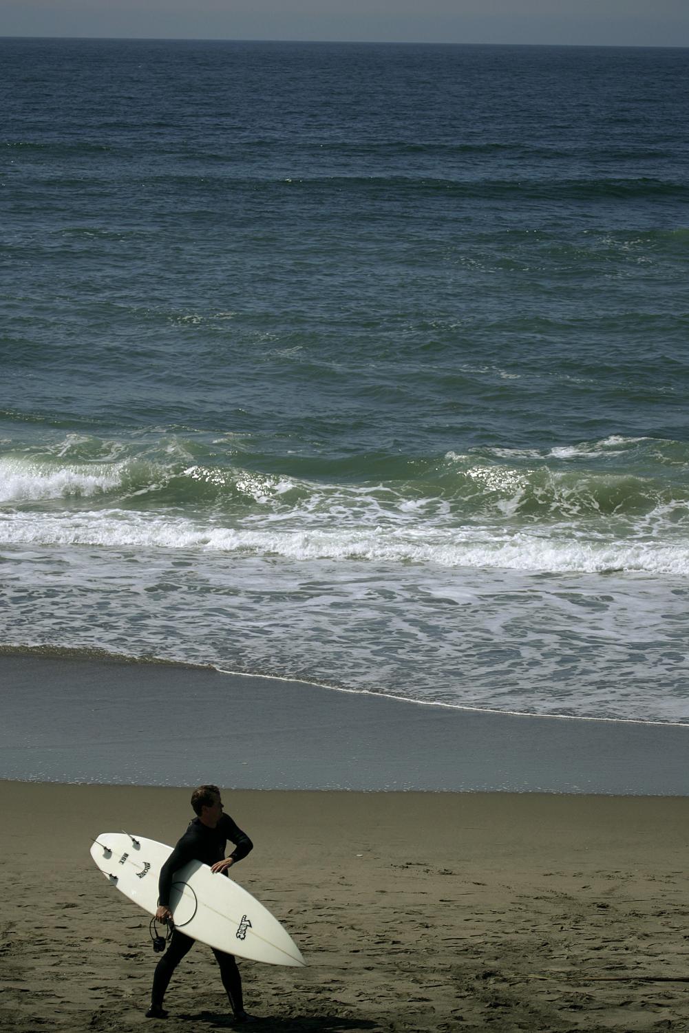 A surfer prepares to enter the water along the coast of San Francisco. Further south in the Pacific coastline, three dead Blue whales have washed ashore in the past month.