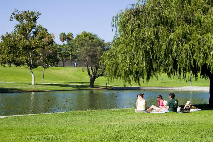 On a day without classes, students choose to enjoy the sunny California weather at a local park. La Mirada Park is located just across the street from Biola University, making it a convenient get-a-way.