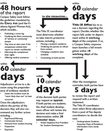 An infograph describing the Title IX process