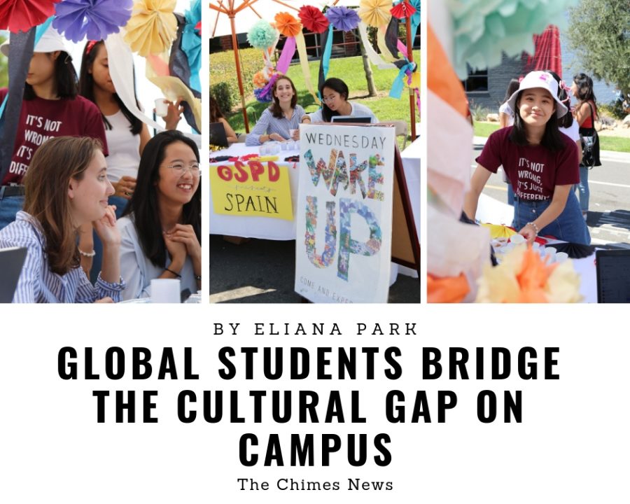 Global students bridge the cultural gap on campus
