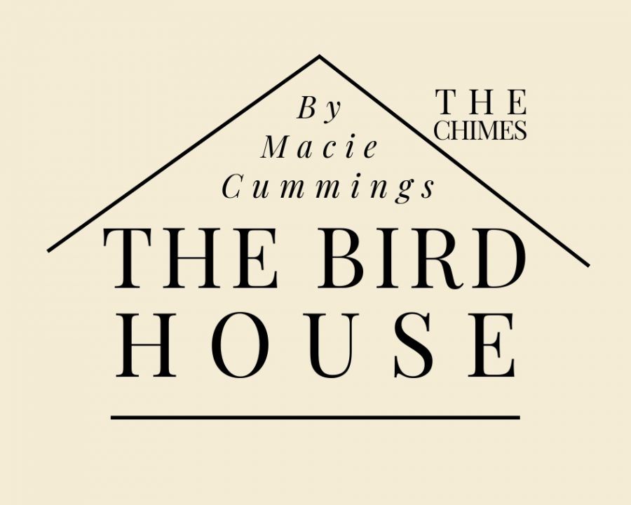 The Bird House: a new perspective on community living