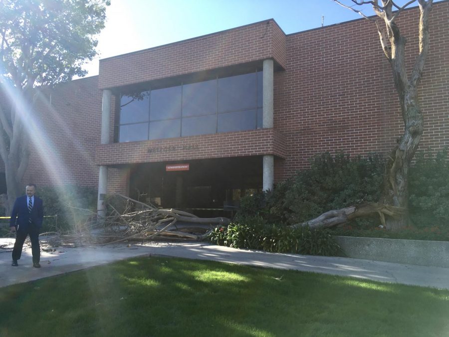 workplace, Metzger Hall, after a tree fell in front the building on the morning of Nov. 9.