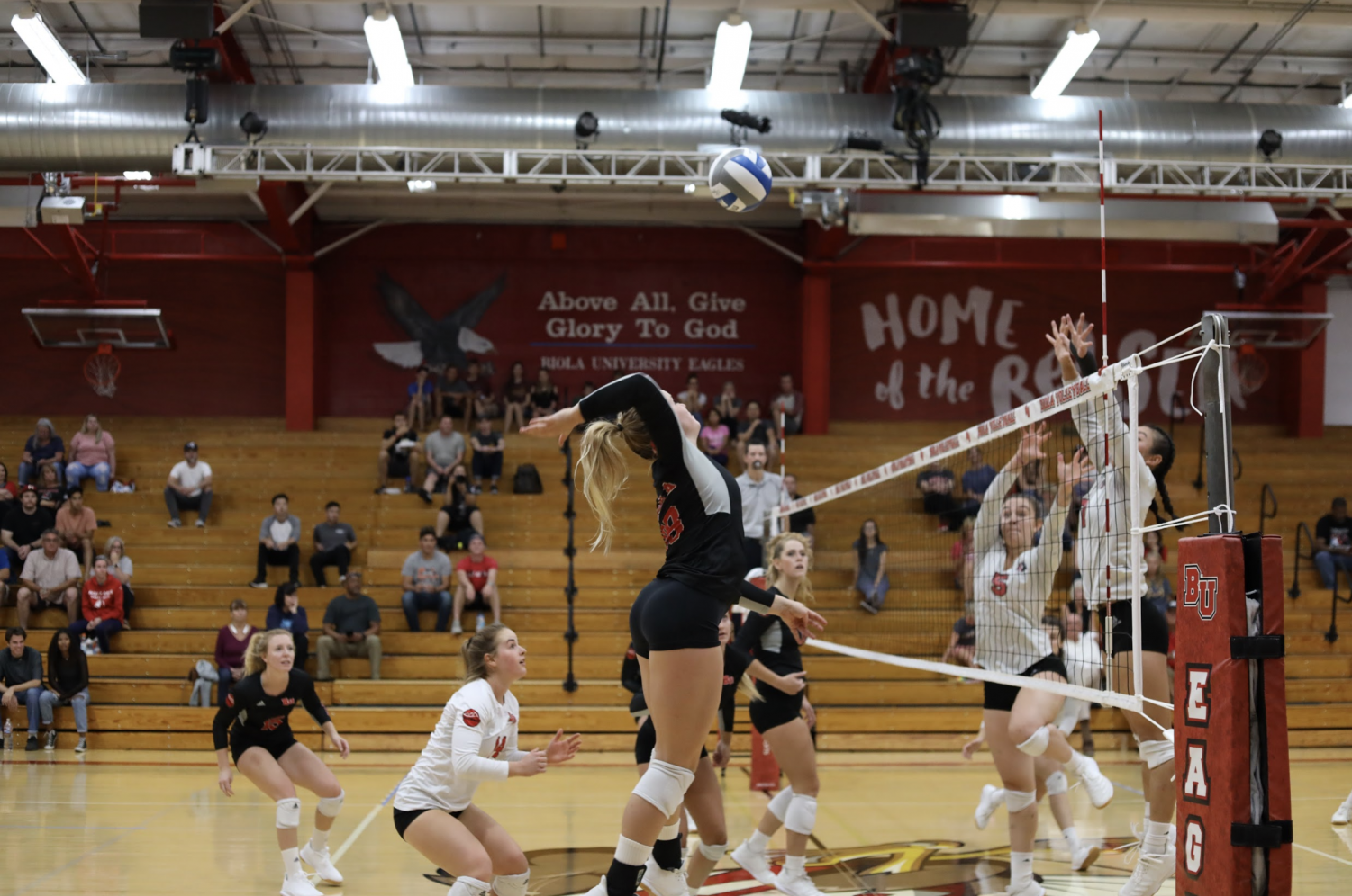 Biola Volleyball player jumps to spike the ball. 