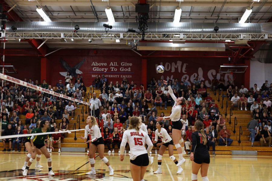 A Biola volleyball player jumps for the ball. 
