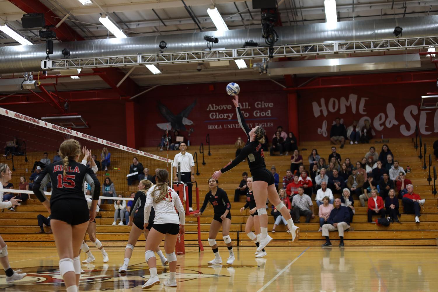 Volleyball crushes Dominican University in 3-0 victory