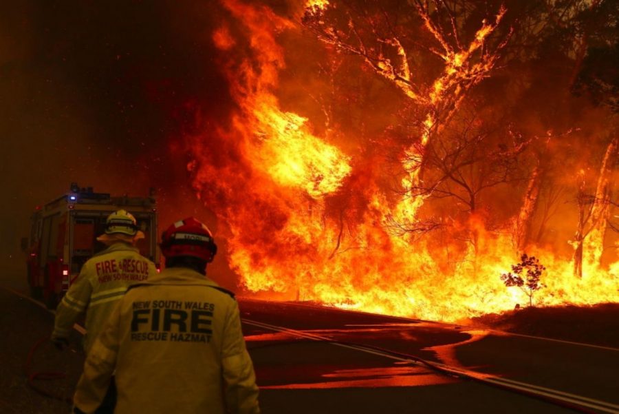 Ramos grew up in New South Wales close to where the fires raged. 