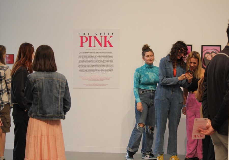 THE COLOR PINK art exhibit makes debut