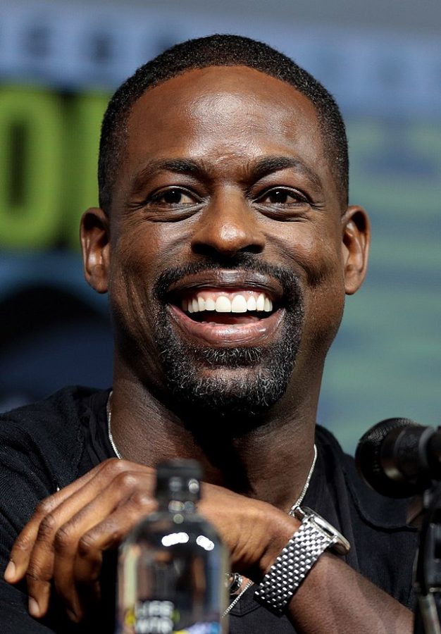Sterling K. Brown stars in the recently released satirical comedy Honk for Jesus. Save Your Soul.