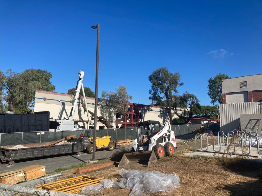 Renovation projects at Chase Gymnasium and Lansing Pool are two of several construction efforts happening at Biola. 