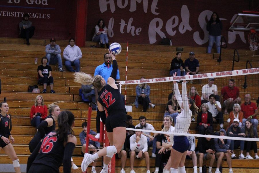 Senior middle blocker Abigail Copeland leaps in the air to spike the ball. 