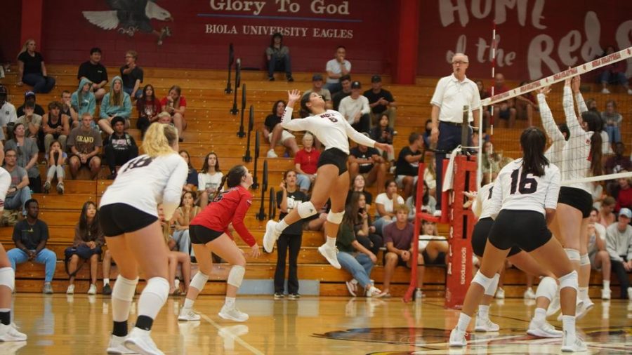 Redshirt junior outside hitter Dominique Kirton jumps to spike the ball. 