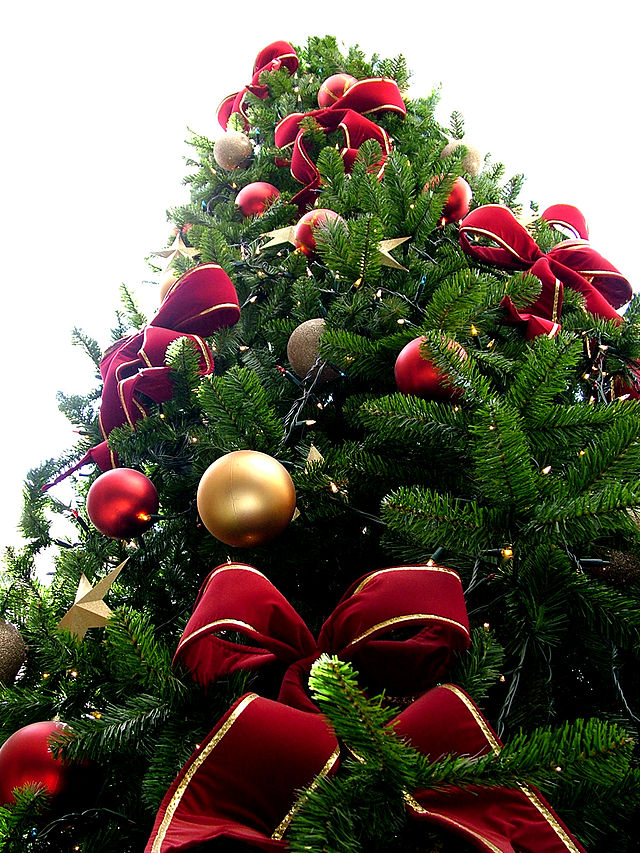 Biola tree lighting kicks off the Christmas season