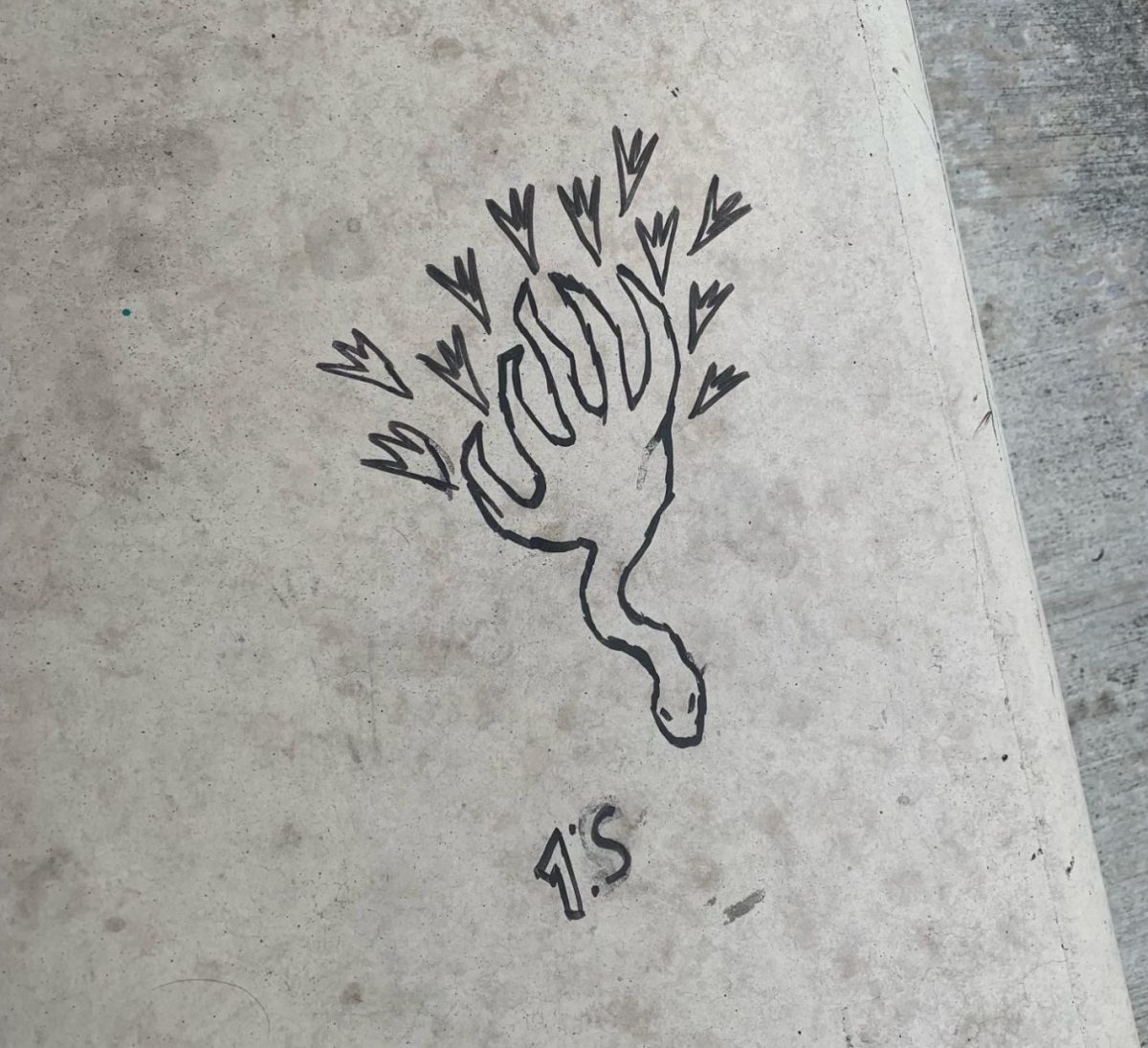 Graffiti found around campus, this one being at the Fireplace Pavilion. 