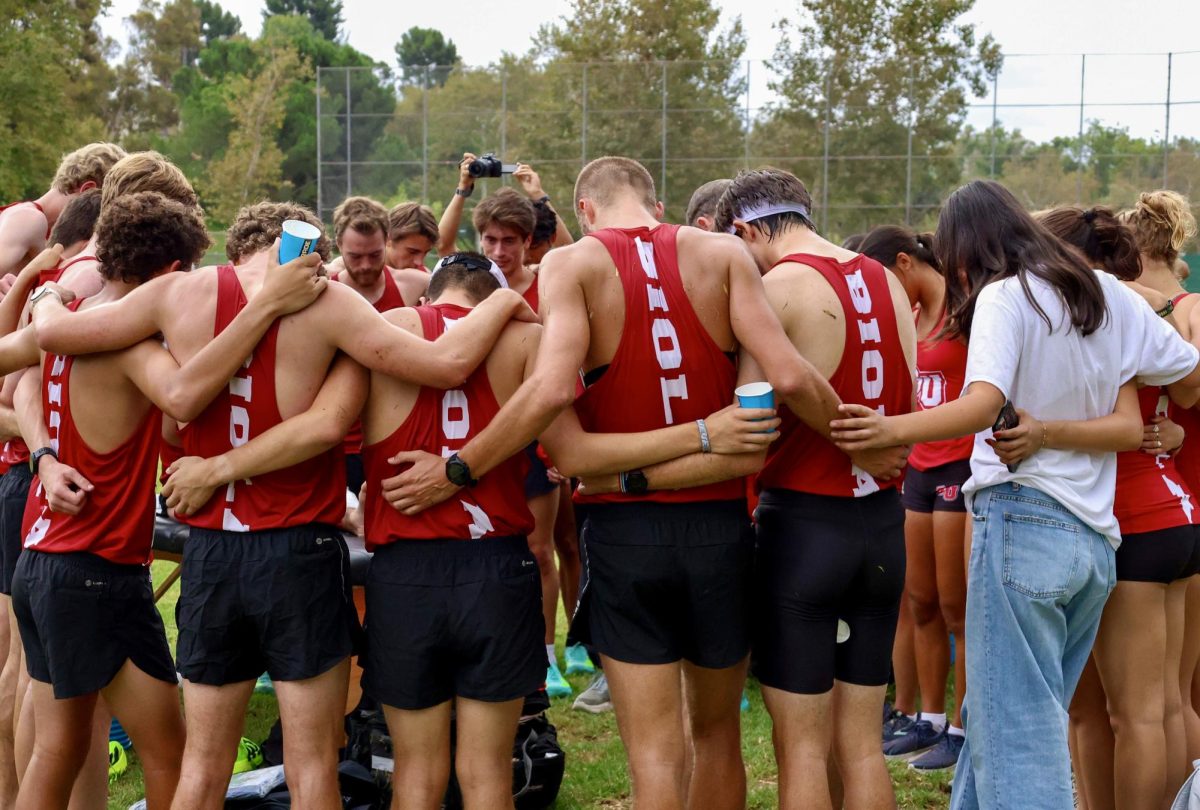 Hitting their stride early in the season
