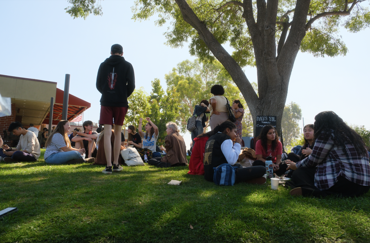 Students gather and socialize on the Student Union Building (SUB) lawn.