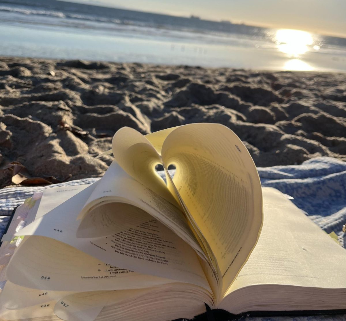 Looking for something to read during the sunny Spring months? Check out this student-recommended list for quick and enjoyable reads.